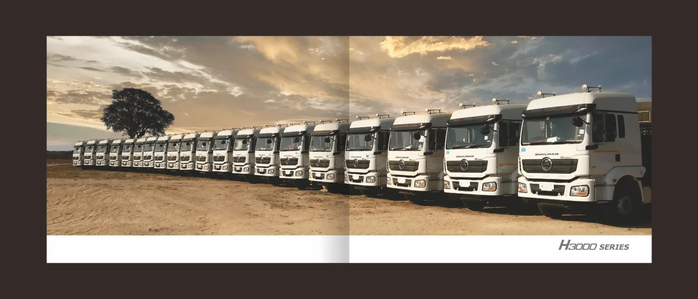 H3000 series truck