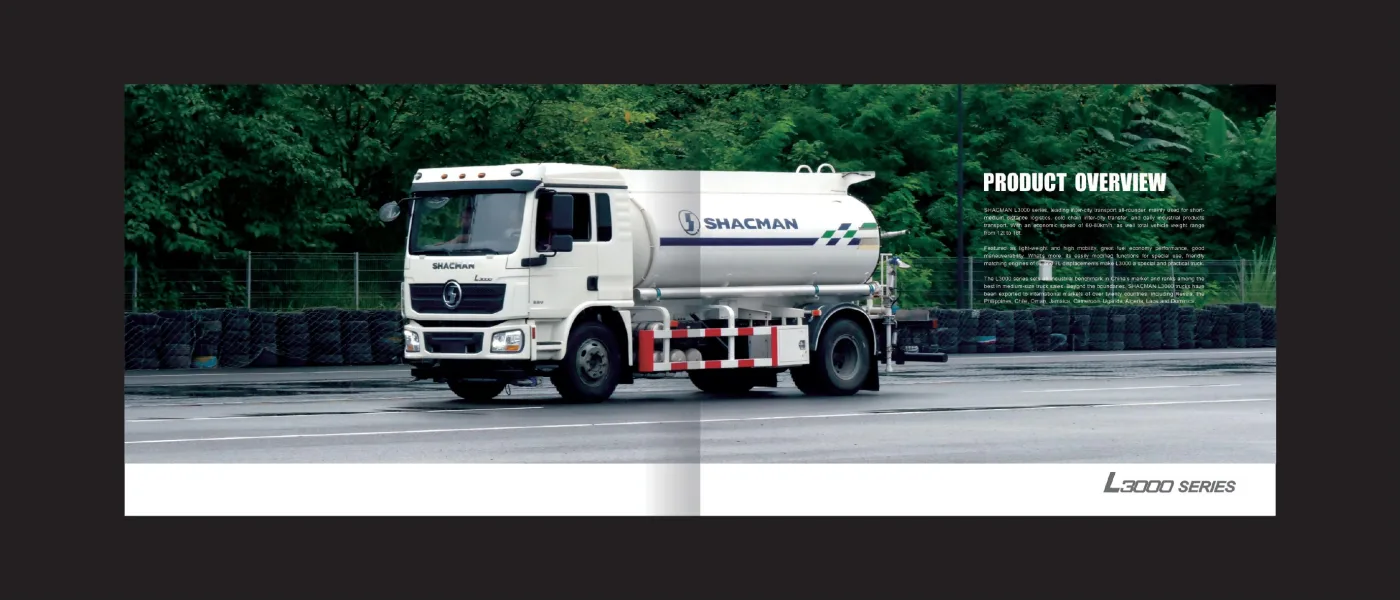 L3000 cargo truck